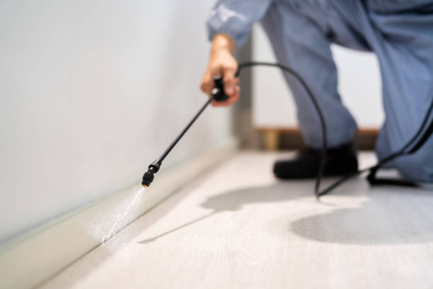 Licensed Cockroach Control service in Hughes Springs, TX - Nex Pest Control