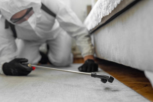 Professional Cockroach Control technician working in Hughes Springs, TX