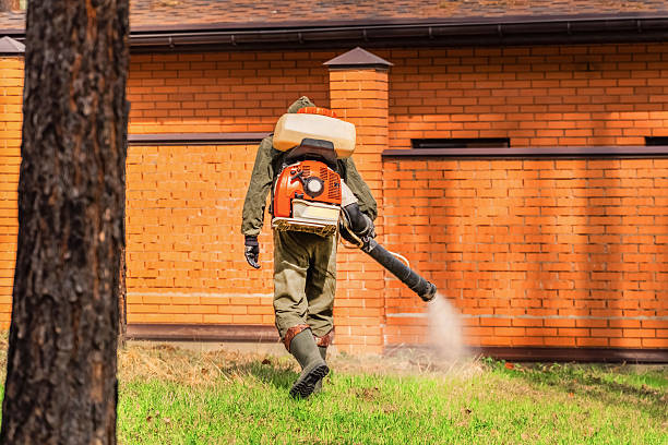 Trusted Emergency Pest Control service in Hughes Springs, TX - Nex Pest Control